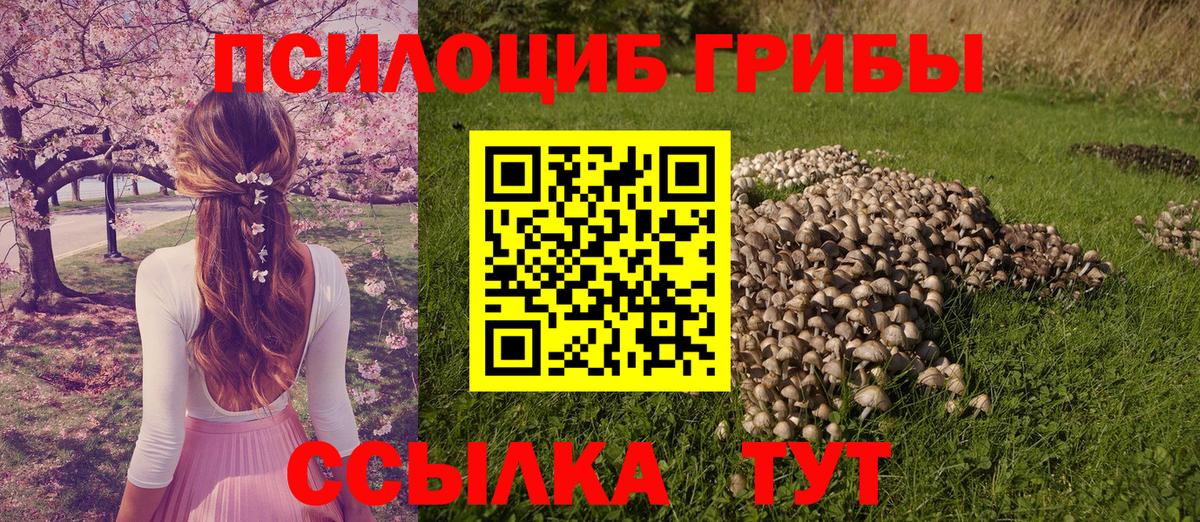 Черкесск  Галлюциногенные грибы Magic Shrooms  Вход с VPN  Псилоцибиновые грибы ЛСД 