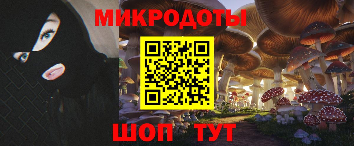 Галлюциногенные грибы Cubensis Черкесск